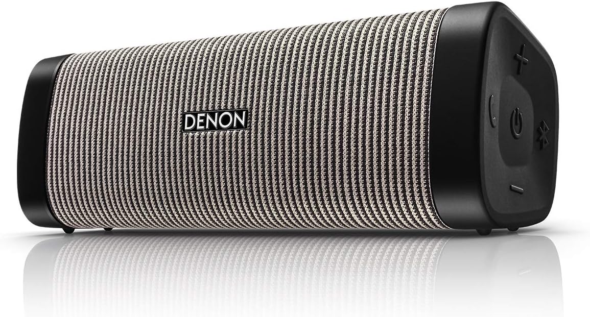 Denon Envaya DSB-150